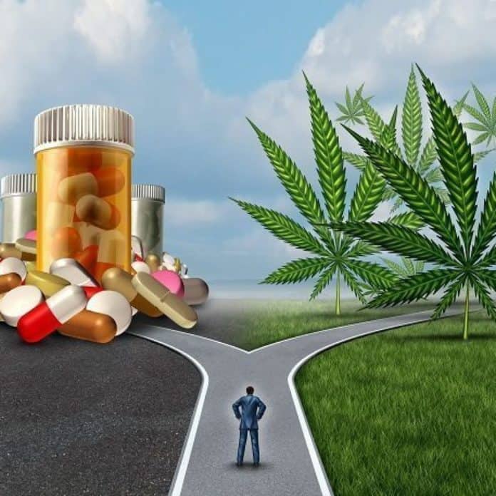 Seniors-and-Cannabis-LR-1030x1030