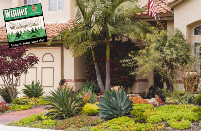 2018_landscape_contest_winner