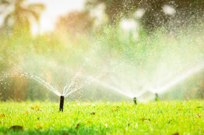 Automatic Lawn Sprinkler Watering Green Grass. Sprinkler With Au