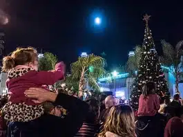 Oceanside Holiday Tree Lighting Dec 7th