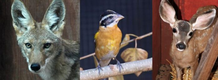 slideone_21-1030x380