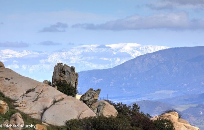 42277806-6efc-40df-a212-c9a98933aadf_1600x1019