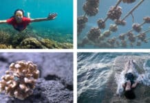 Oceanside Museum of Art to Present Transformative Currents: Art and Action in the Pacific Ocean