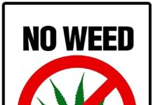 Teen Unite and 420 Remix Event on April 18th in Oceanside